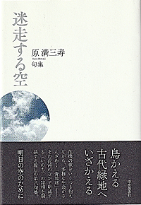 句集　迷走する空